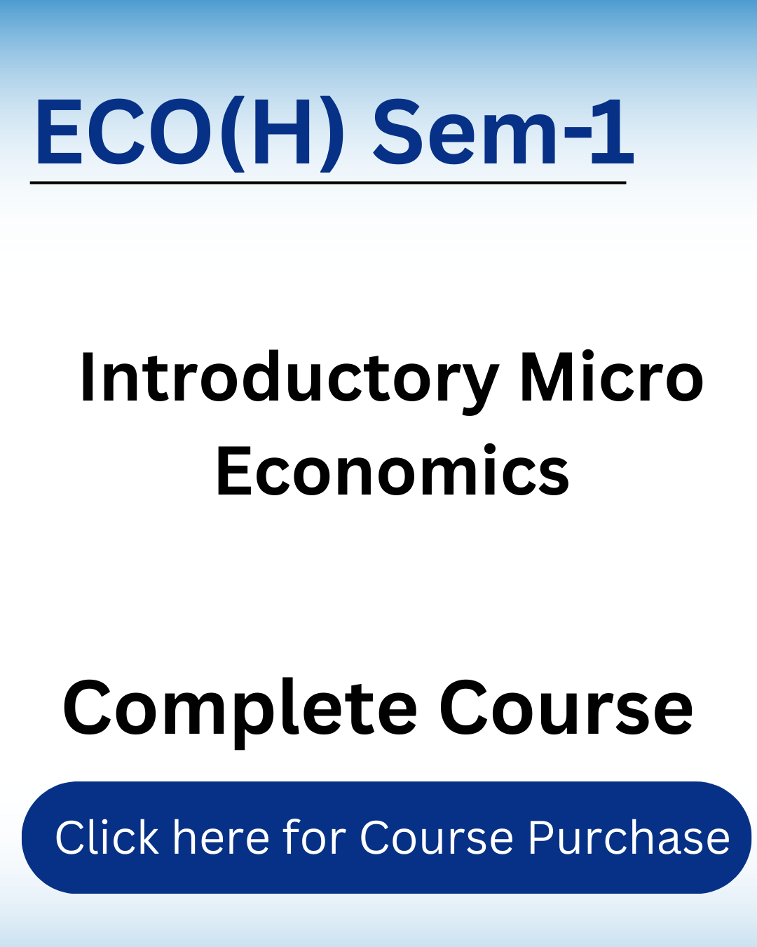 Introductory Micro Economics