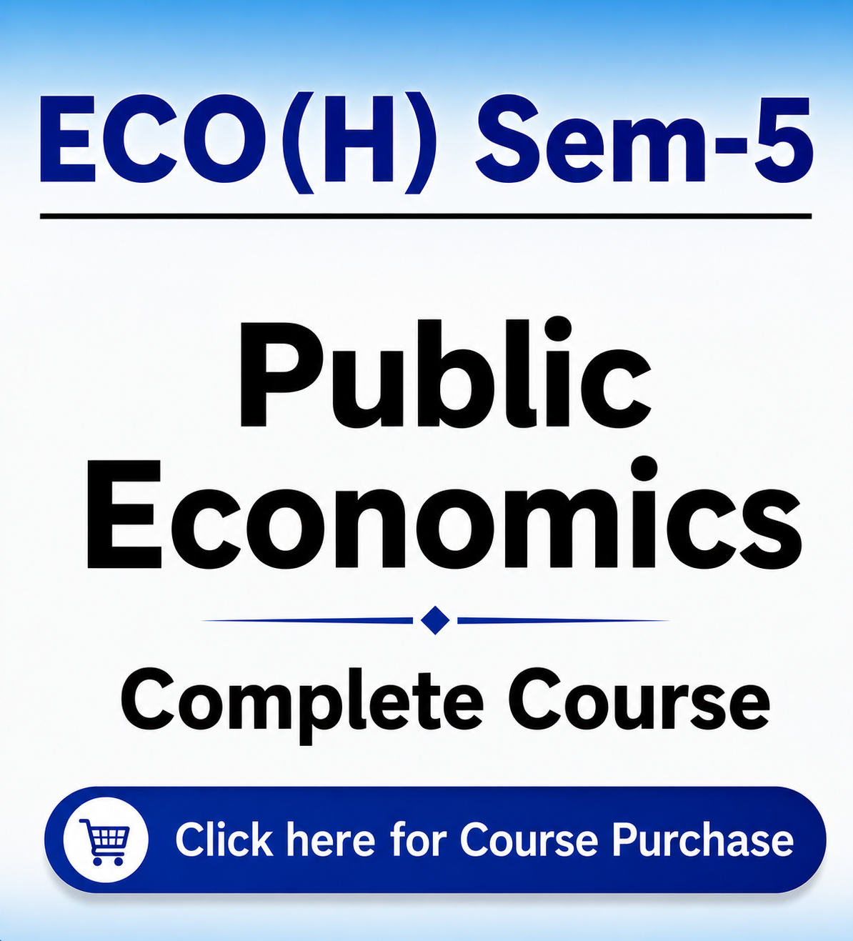 Public Economics